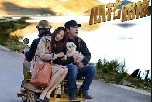 心花路放bt在线观看,一场心灵的释放之旅  第3张